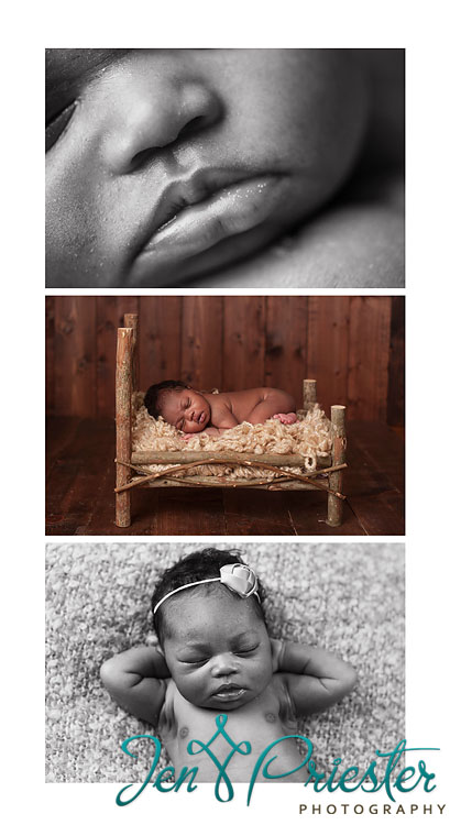 canton mi newborn photographer 