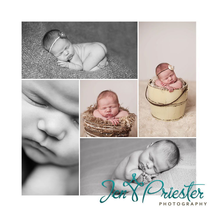 kest newborn photographer kingsley michigan