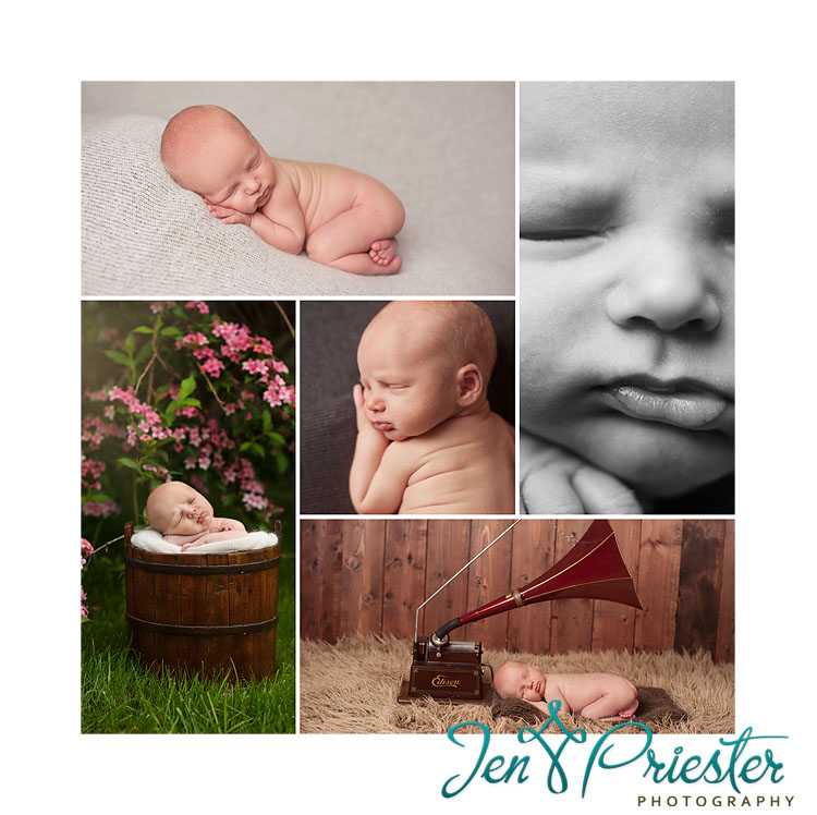 canton michigan newborn photographer 