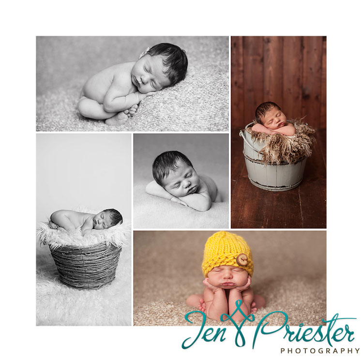 mi newborn photographer 