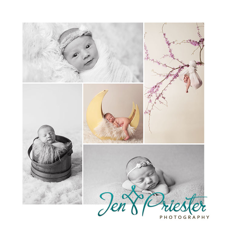 ann arbor mi photographer newborn