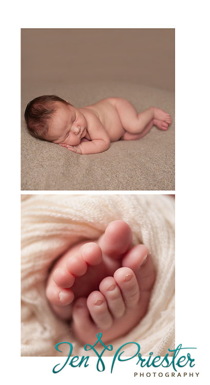 belleville mi newborn photographer 