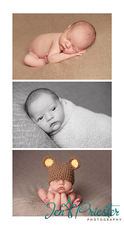 newborn photographer in michigan