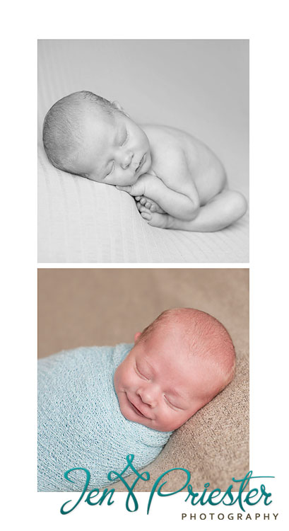 creative newborn photographer in canton michigan