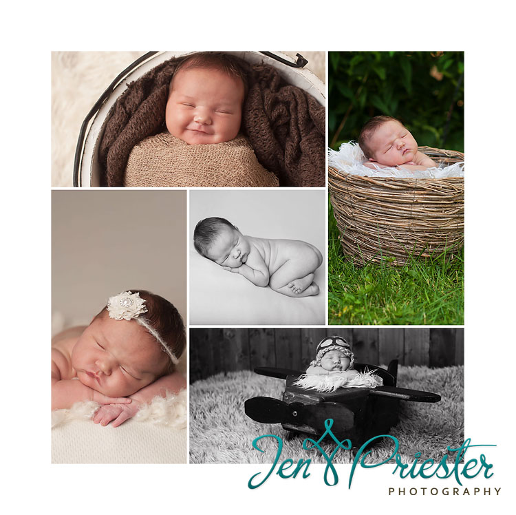 newborn photographer in ann arbor michigan
