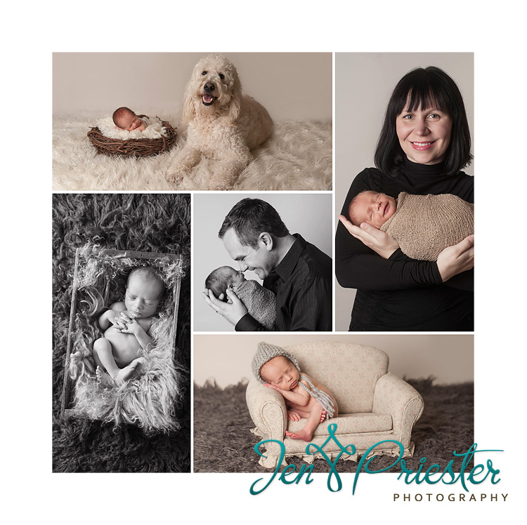 michigan newborn photography