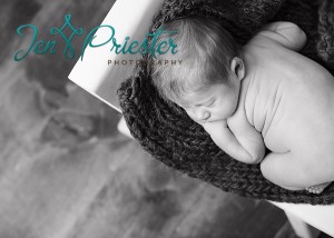 mi newborn photographer 