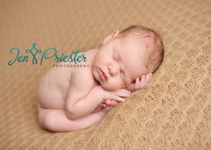 ann arbor mi newborn photographer 