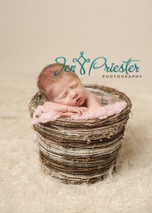 mi newborn photographer 