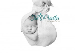 ann arbor mi newborn photographer 