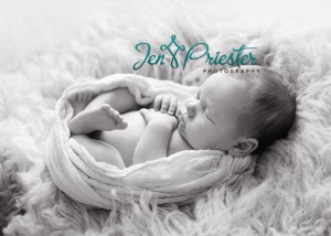 ann arbor mi newborn photographer 