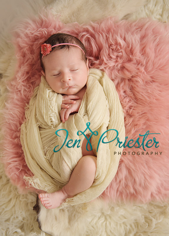 canton_michigan_newborn_photographer