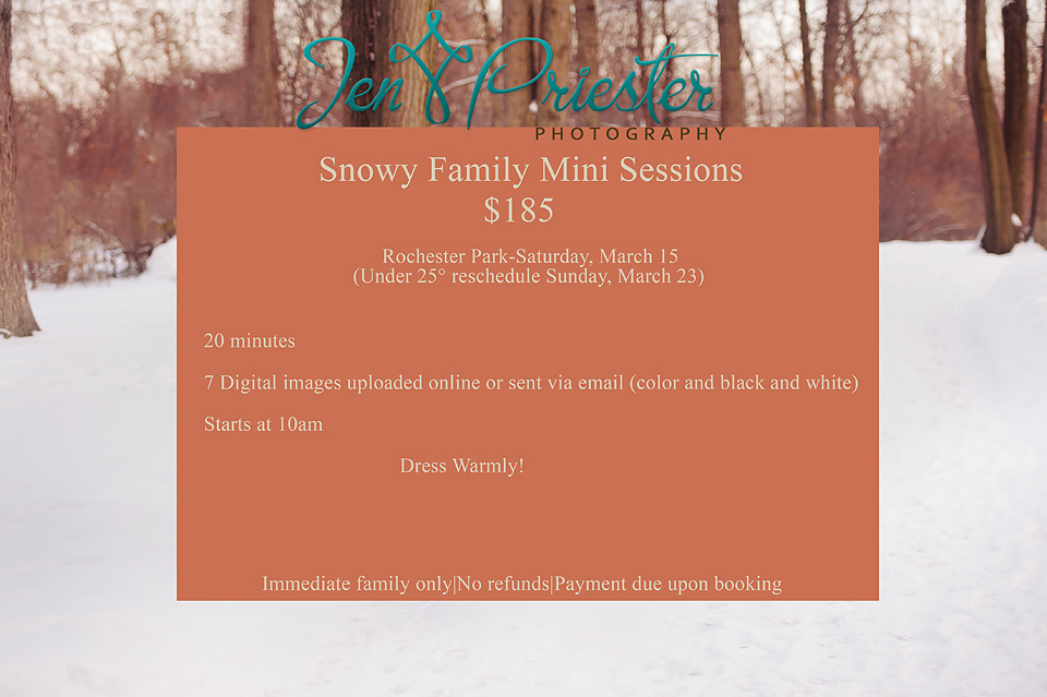 ann arbor mi newborn photographer