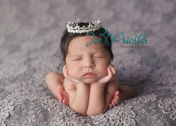 ann arbor mi newborn photographer