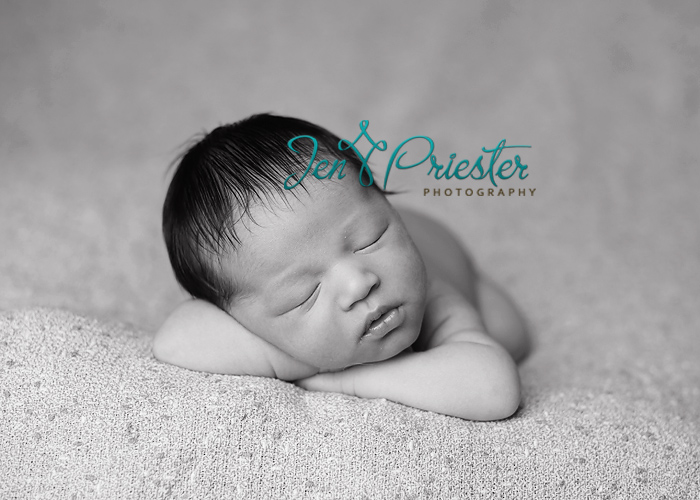 grosse pointe michigan newborn photographer 