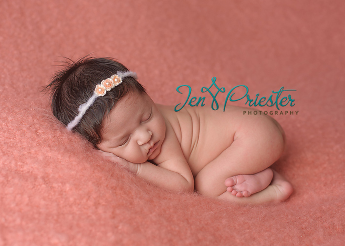 ann arbor mi newborn photographer