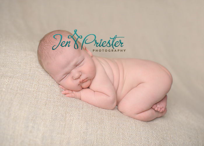 ann arbor michigan newborn photographer