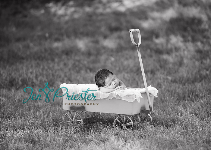 ann arbor mi newborn photographer