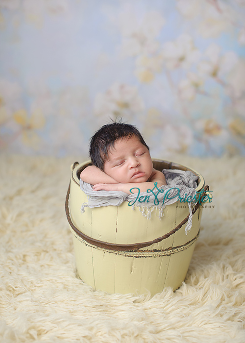 ann arbor mi newborn photographer