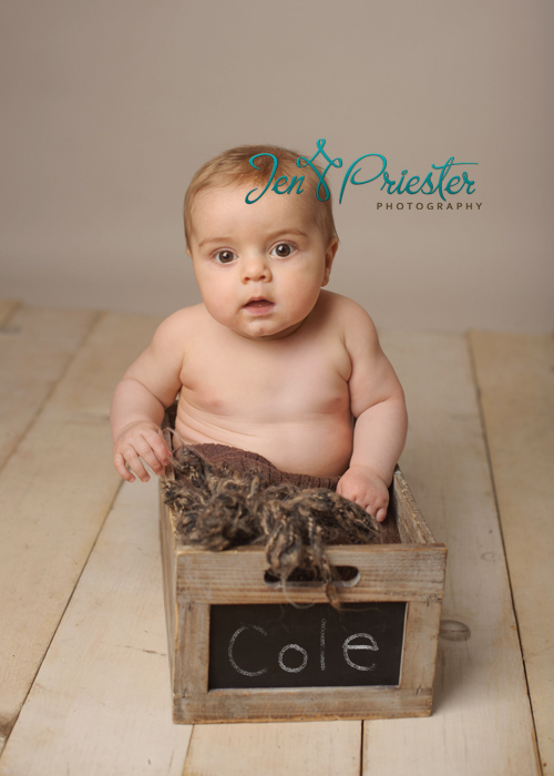 ann arbor michigan baby photography