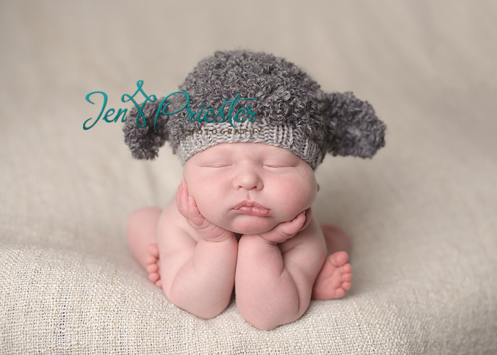ann arbor michigan newborn photographer