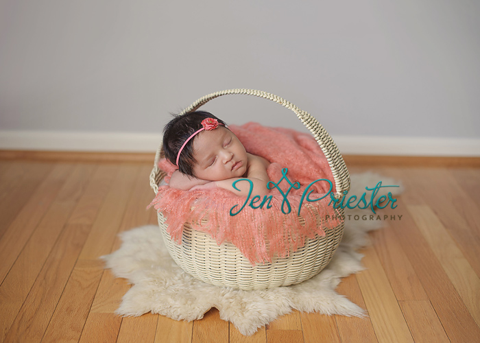 ann arbor mi newborn photographer