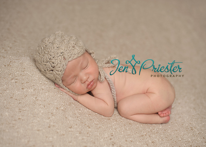 grosse pointe michigan newborn photographer 