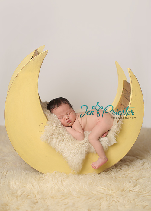 grosse pointe michigan newborn photographer 