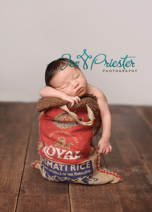 grosse pointe michigan newborn photographer 