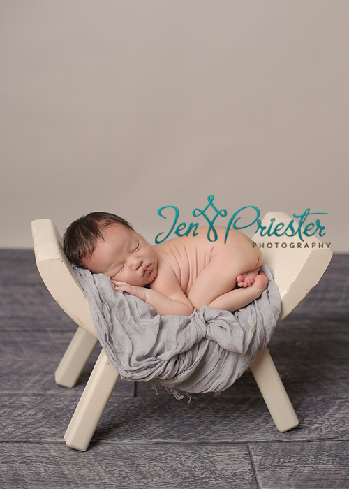 grosse pointe michigan newborn photographer 