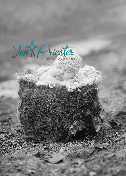 ann arbor michigan newborn photographer