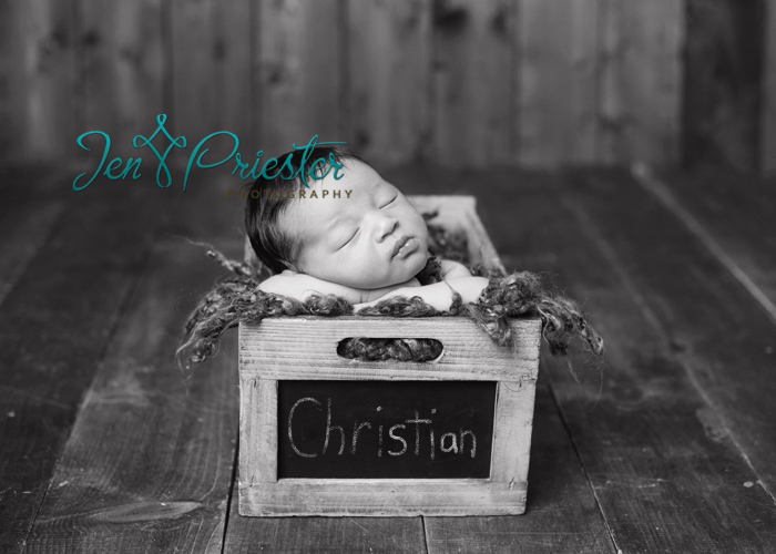 grosse pointe michigan newborn photographer 