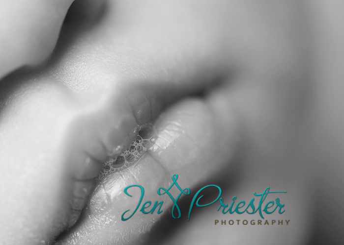 grosse pointe michigan newborn photographer 