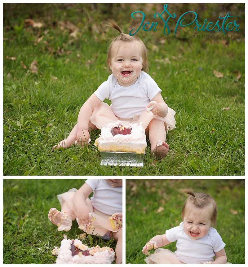 ann arbor michigan family photographer