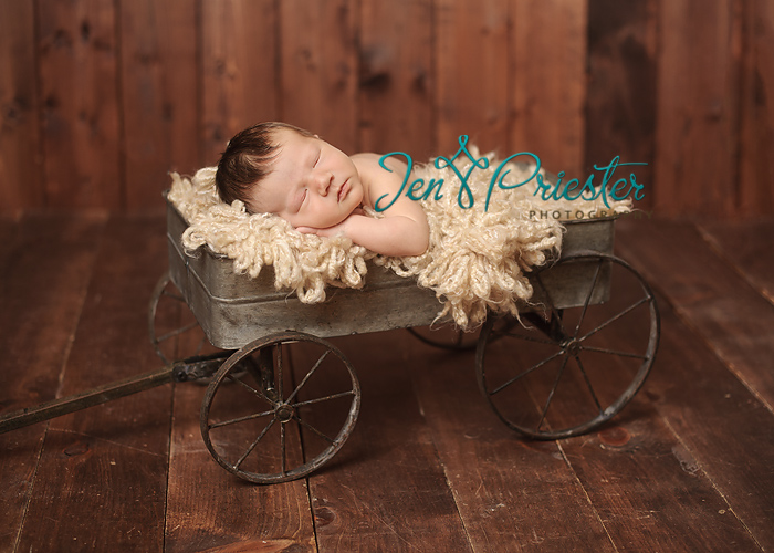 saline michigan newborn photographer