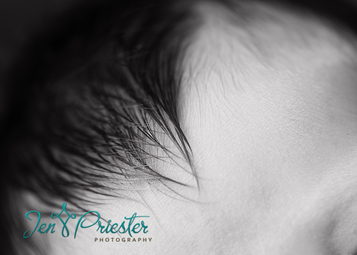 saline michigan newborn photographer