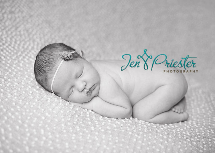 ann arbor mi newborn photographer
