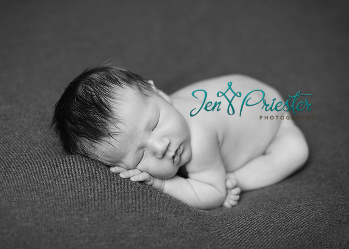 saline michigan newborn photographer