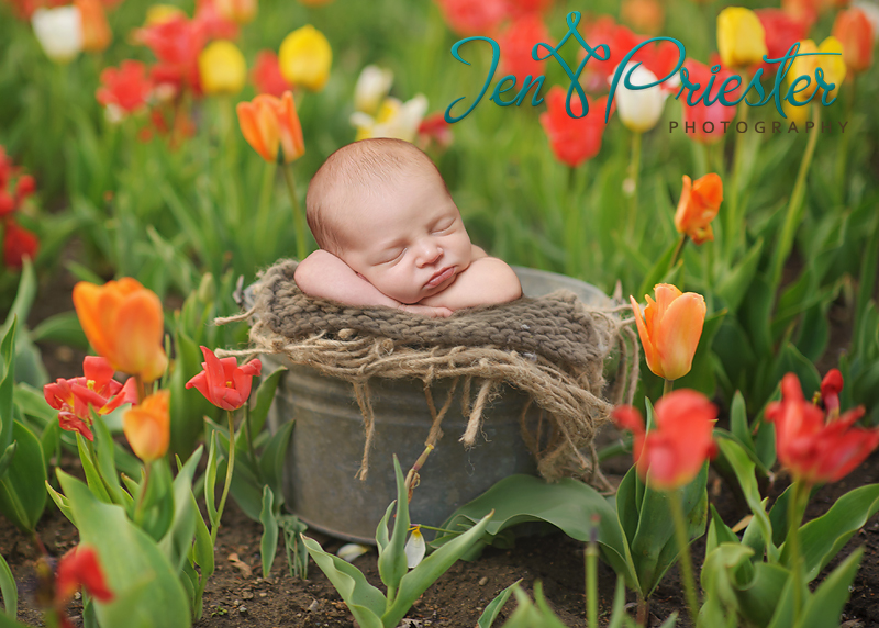  ann arbor mi newborn photographer