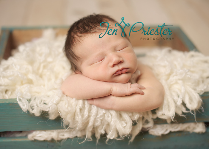 saline michigan newborn photographer