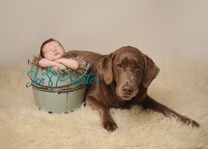 saline michigan newborn photographer