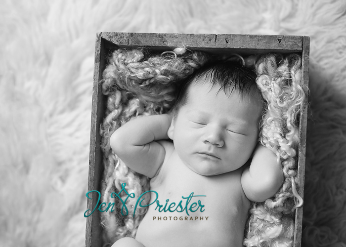 saline michigan newborn photographer