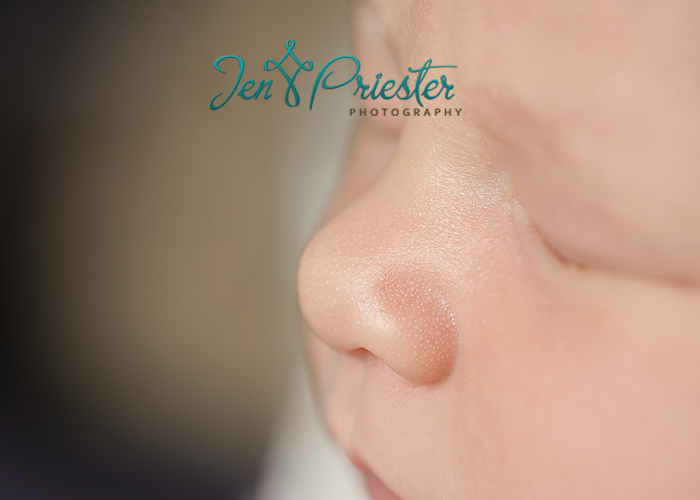 ann arbor mi newborn photographer