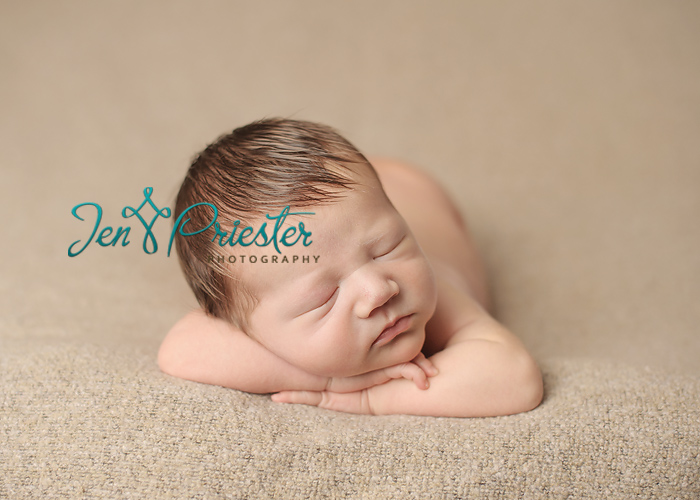 saline michigan newborn photographer