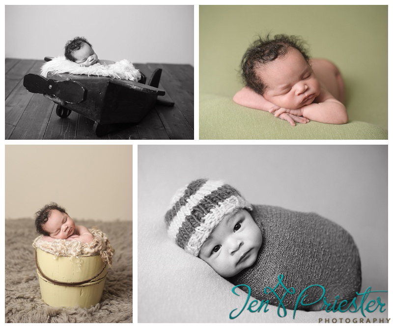 novi mi photographer