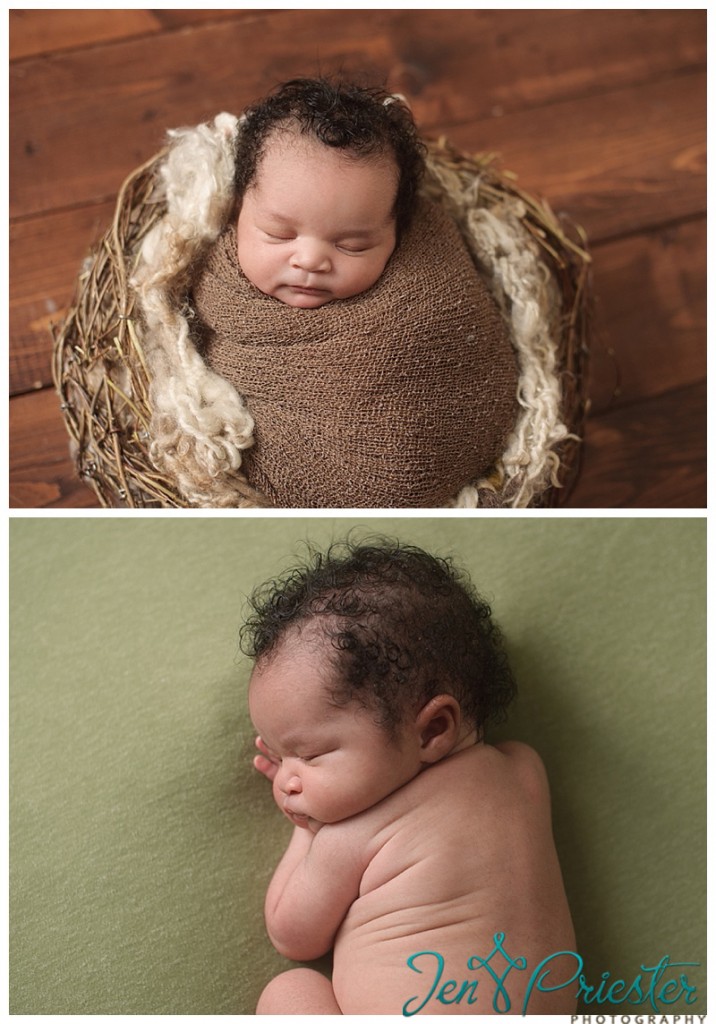 novi mi photographer