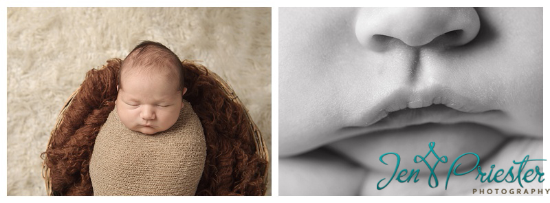 ann arbor mi newborn photographer