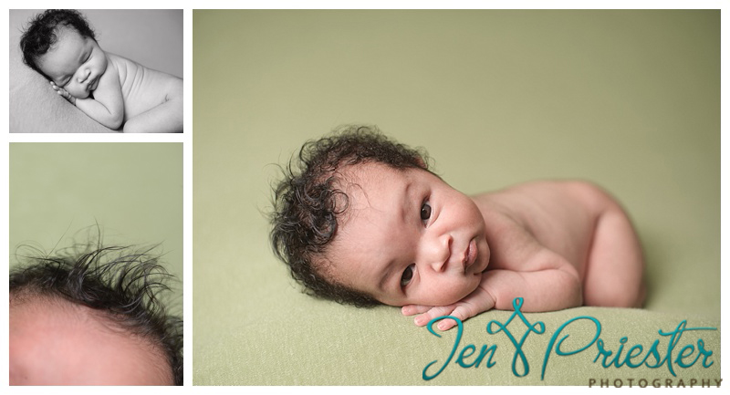 novi mi photographer