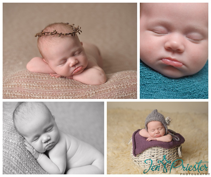 dearborn michigan baby photographer newborn