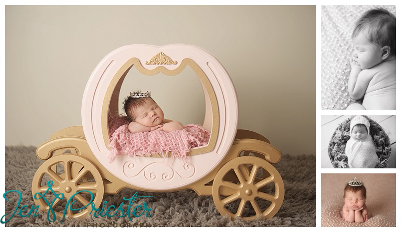 canton michigan newborn photographer
